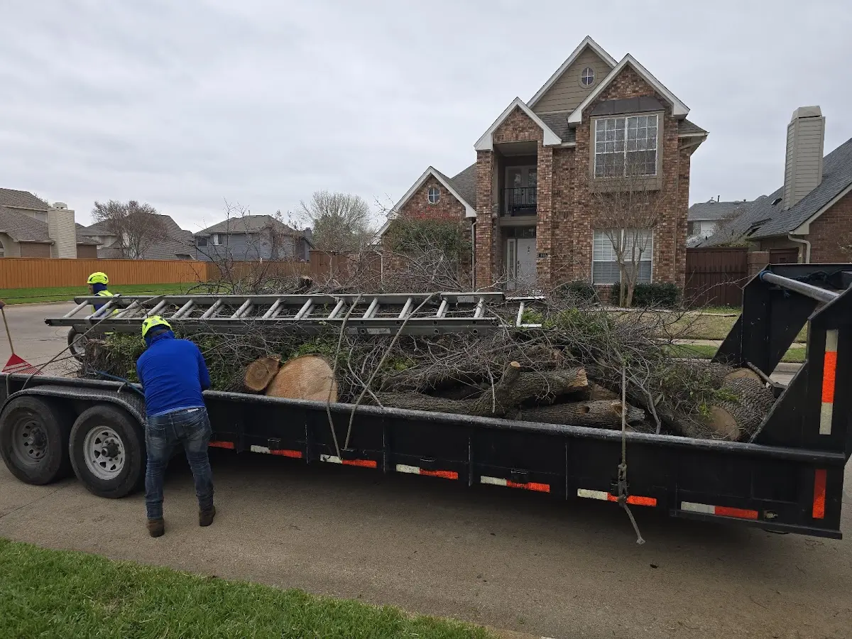 Expert Crown Reduction with proper safety equipment in Navesink
